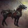 Cavallo Cavallo